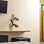 Darinka