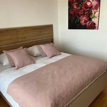 Otel Darinka 3*