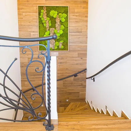 Darinka 3* 포프라트